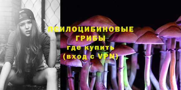спайс Дмитровск