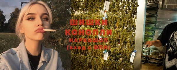 шишки Гусь-Хрустальный