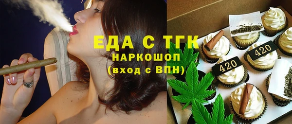 мдпв Гусев