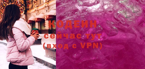 шишки Гусь-Хрустальный