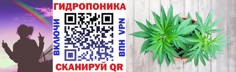 МАРИХУАНА THC 21%  Купить закладки  Алексин 
